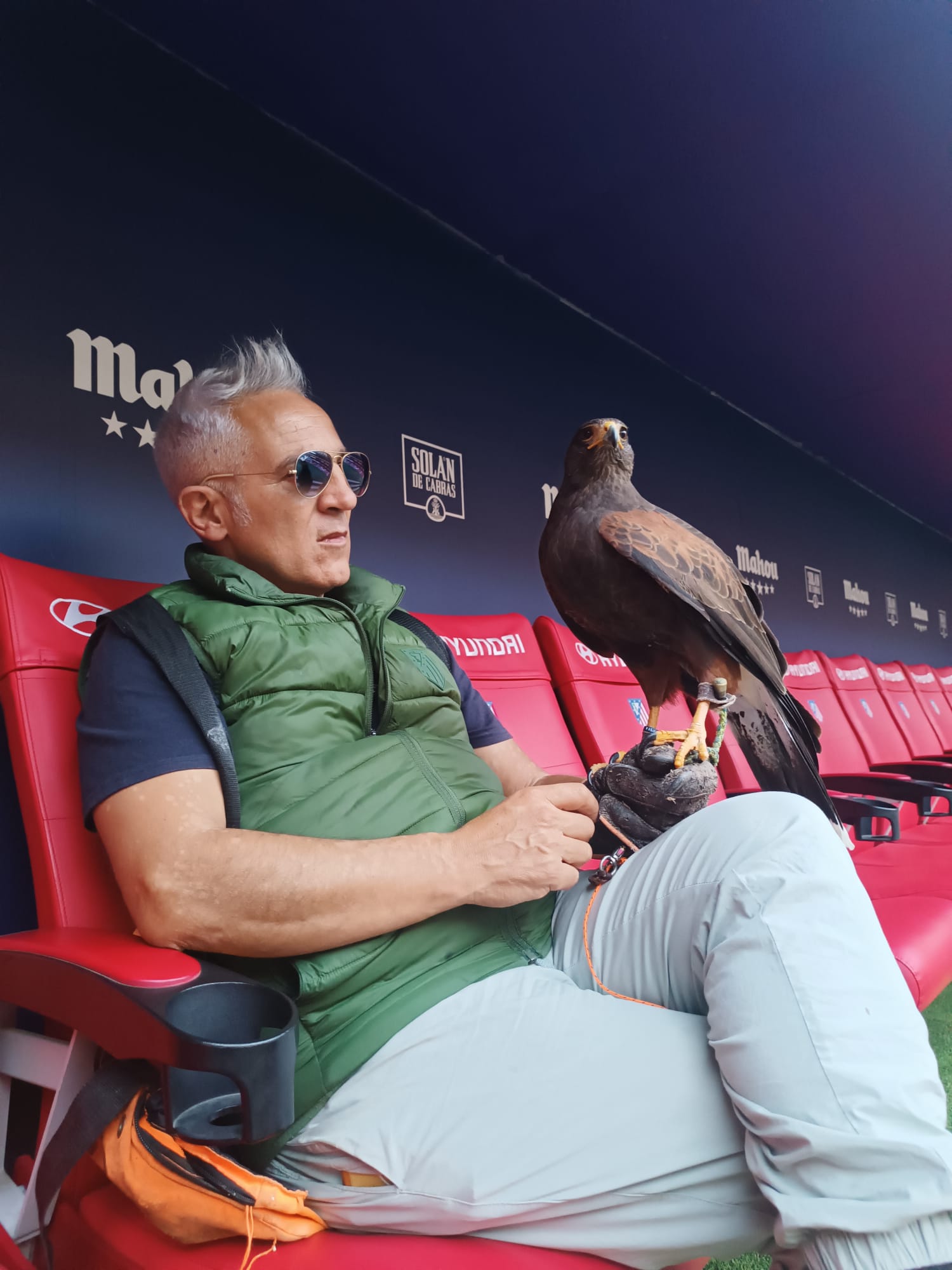 Images Bird Control Falcon S.L.