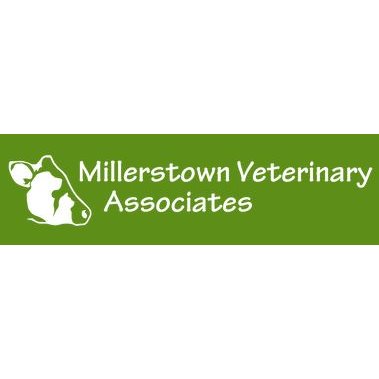 Millerstown Veterinary Associates PC Logo
