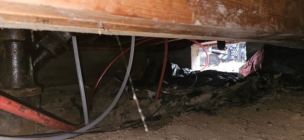 Images No Leaks Plumbing LLC