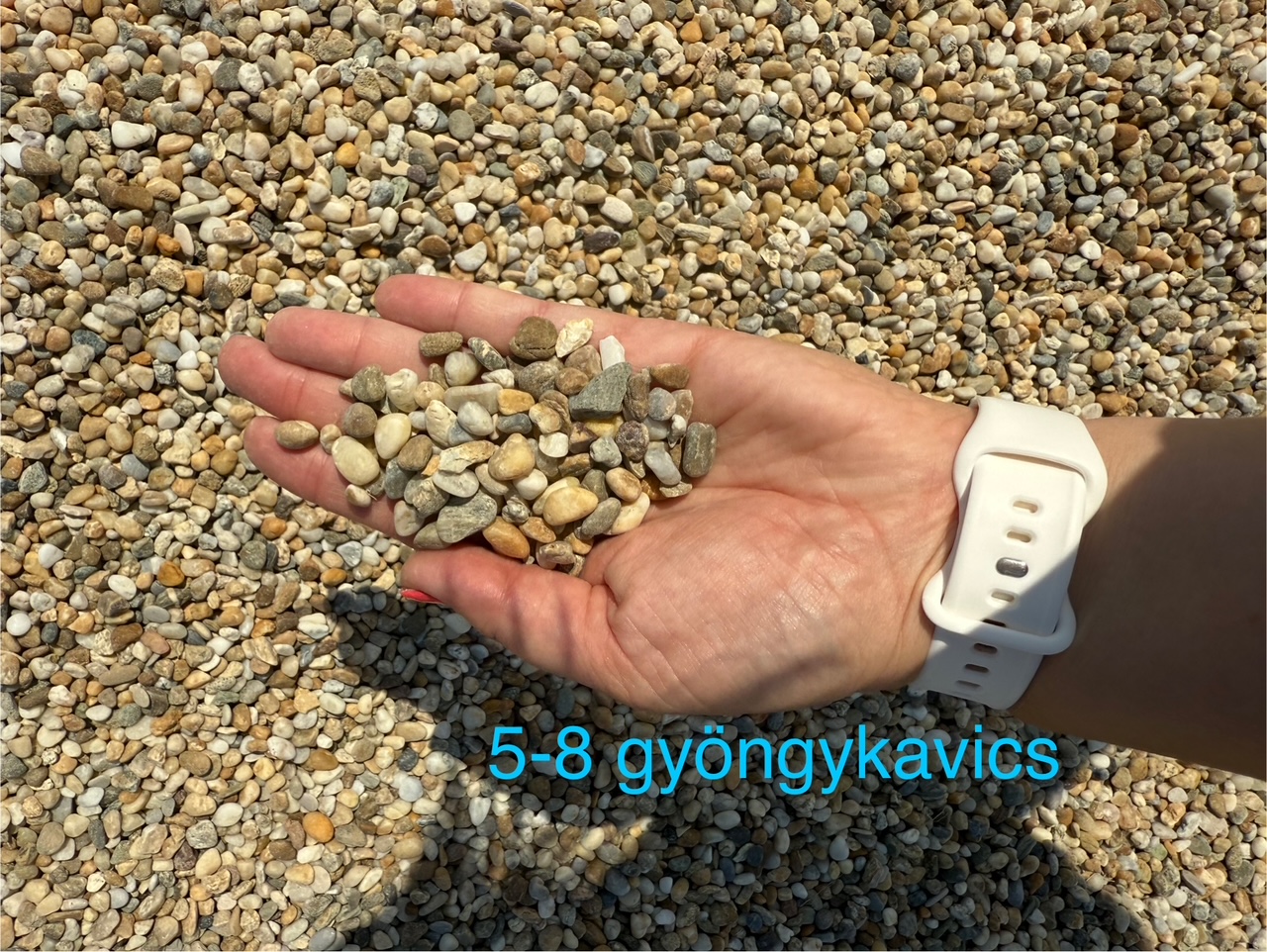 Images Koller és Varga Kft.