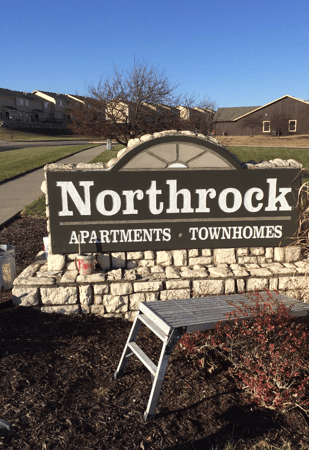 Images Picasso Painting Inc