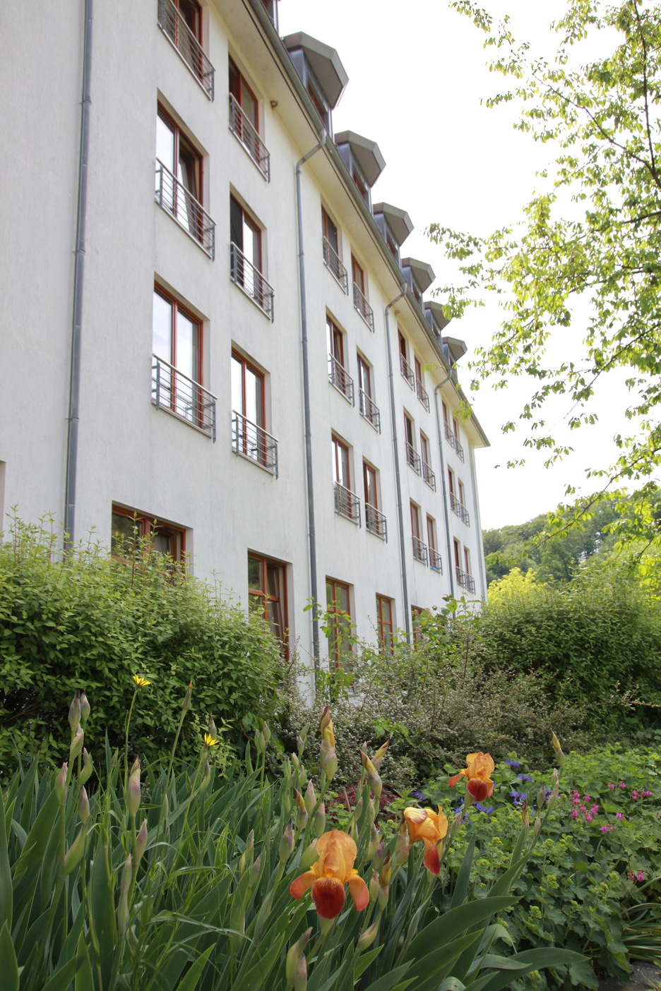CURATA Mehrgenerationenhaus Sülzhayn, Am Haidberg 1 in Ellrich / OT Sülzhayn