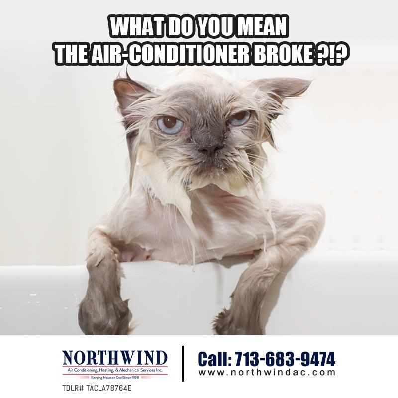 Northwind Air Conditioning, Heating & Mechanical Services Photo