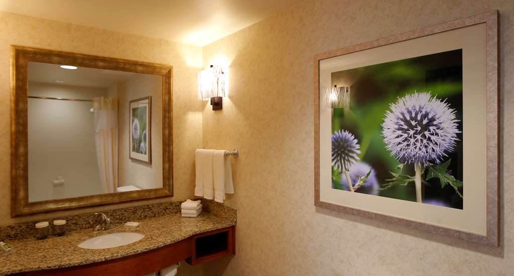 Guest room bath Hilton Garden Inn Cedar Falls Cedar Falls (319)266-6611