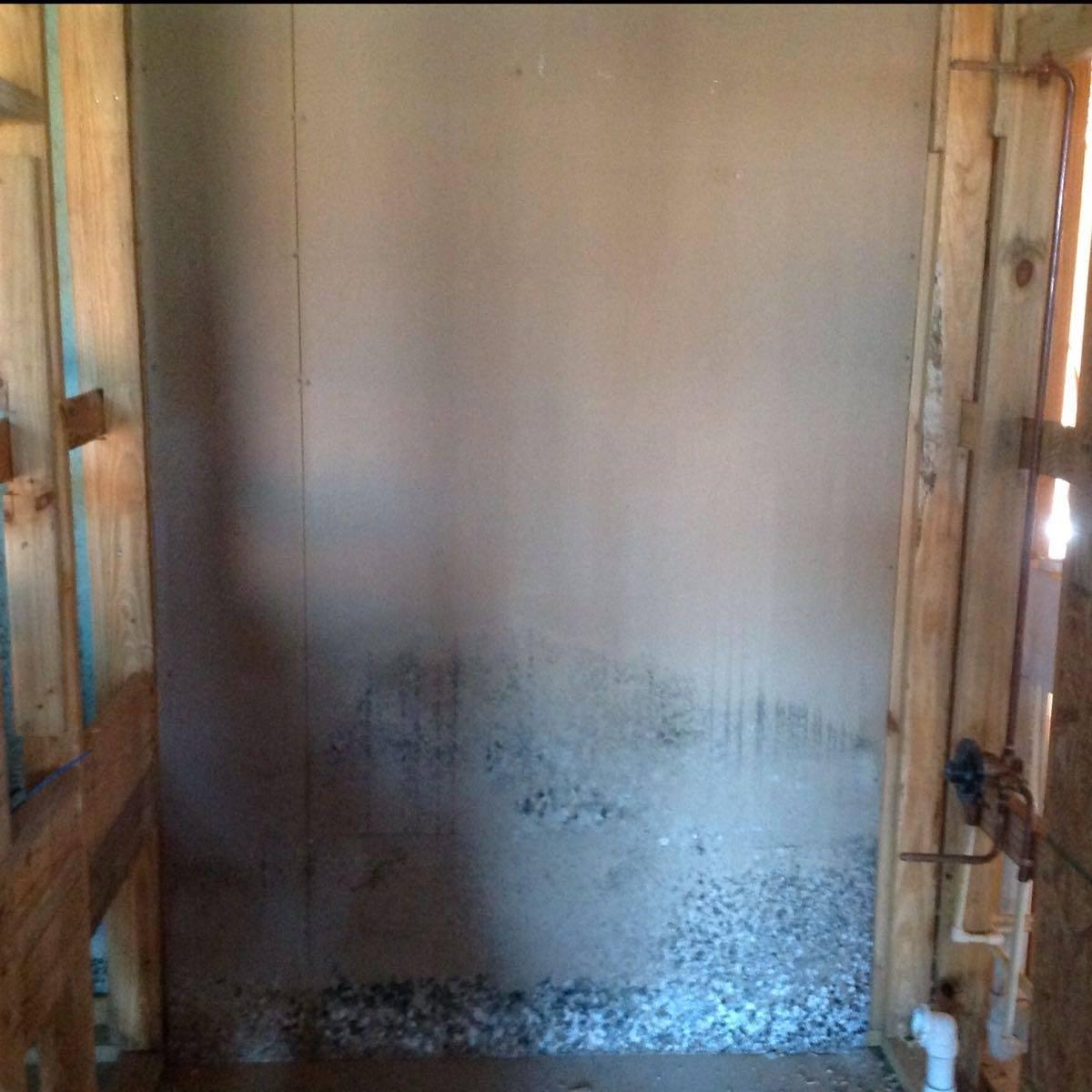 All companies and individuals who perform mold- related activities in Texas must be licensed by TDLR(The Department of Licensing and Regulation). SERVPRO of Tyler is one of the few licensed in Texas to preform Mold Remediation & Restoration efforts.