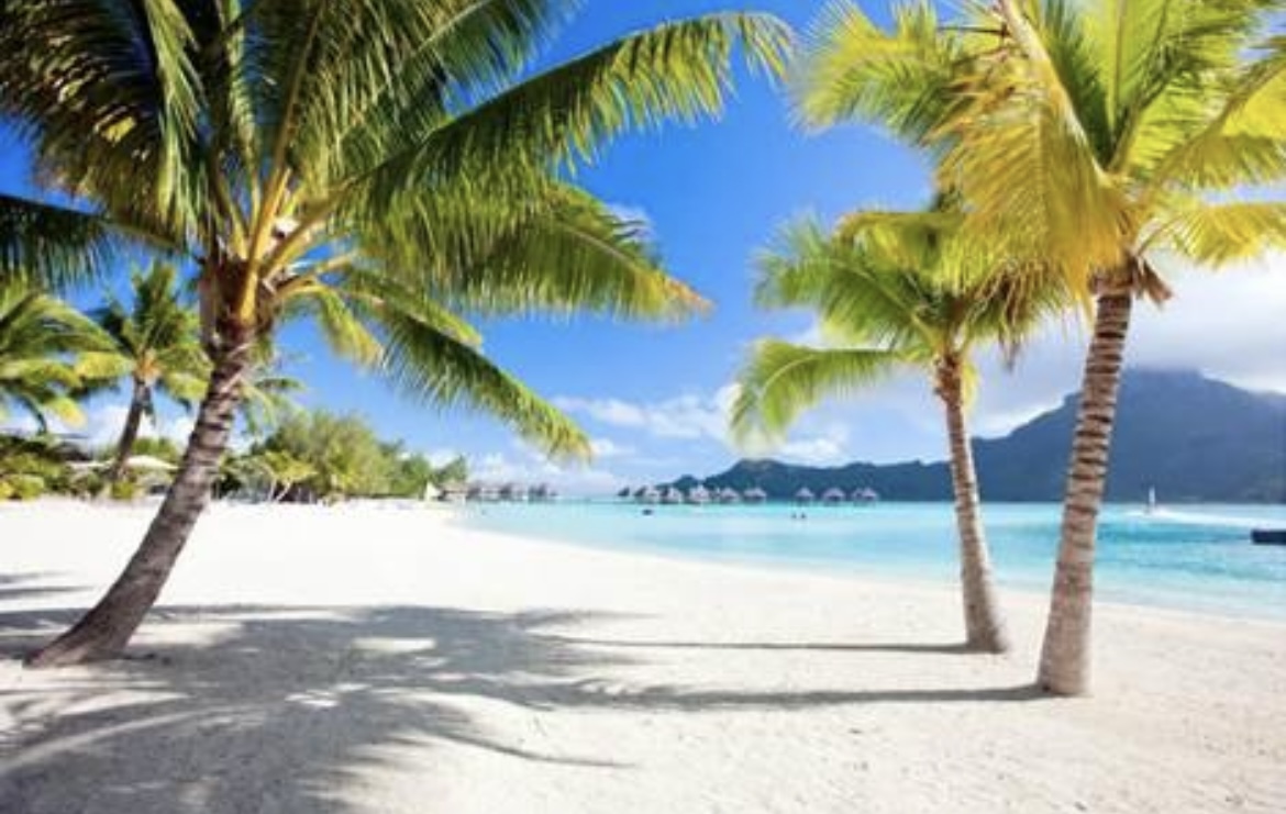 Bilder Viaggiare SA