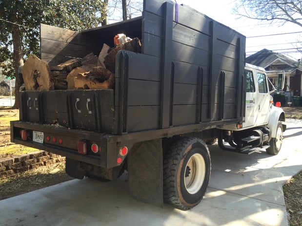 Images TreeDog Atlanta Services LLC