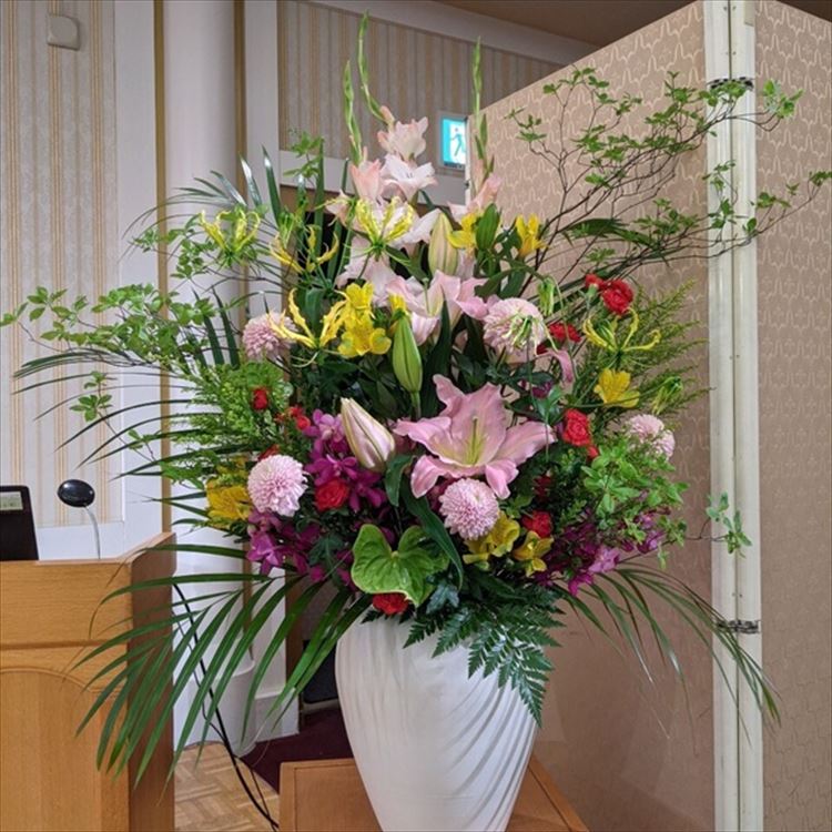 Images 花年