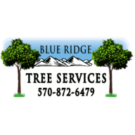 Blue Ridge Tree Services LLC Logo