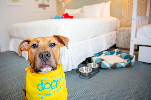 The Lodge On The Cove Image