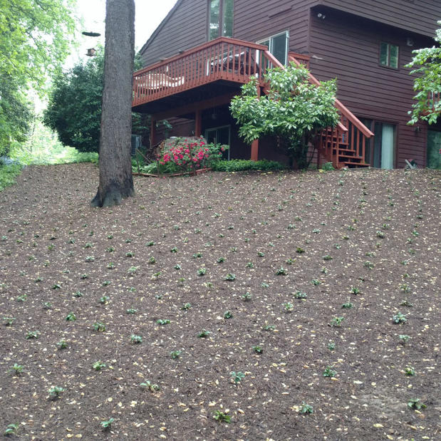 Images Access Landscaping LLC
