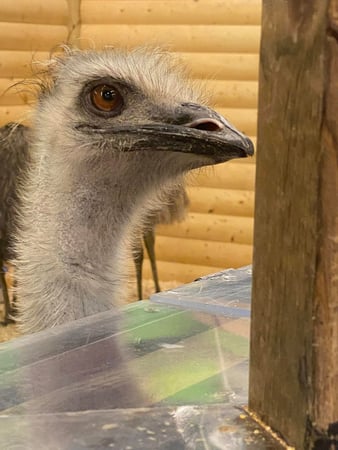 Images Visit Lakeville Minnesota