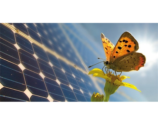 T. Röll GmbH, Heizung-Lüftung-Sanitär, Backesweg 14 in Krombach