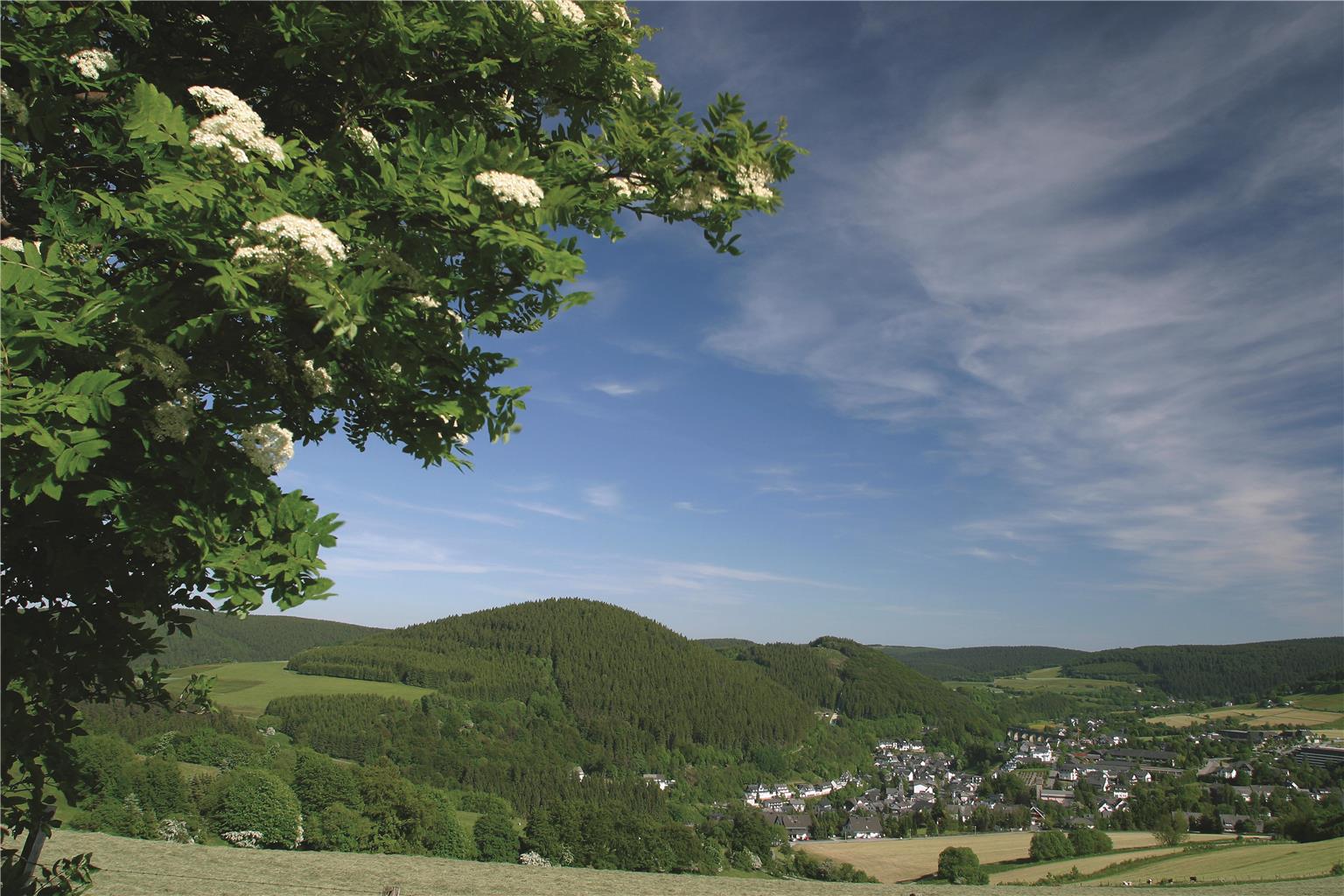 Best Western Plus Hotel Willingen, Briloner Strasse 56 in Willingen