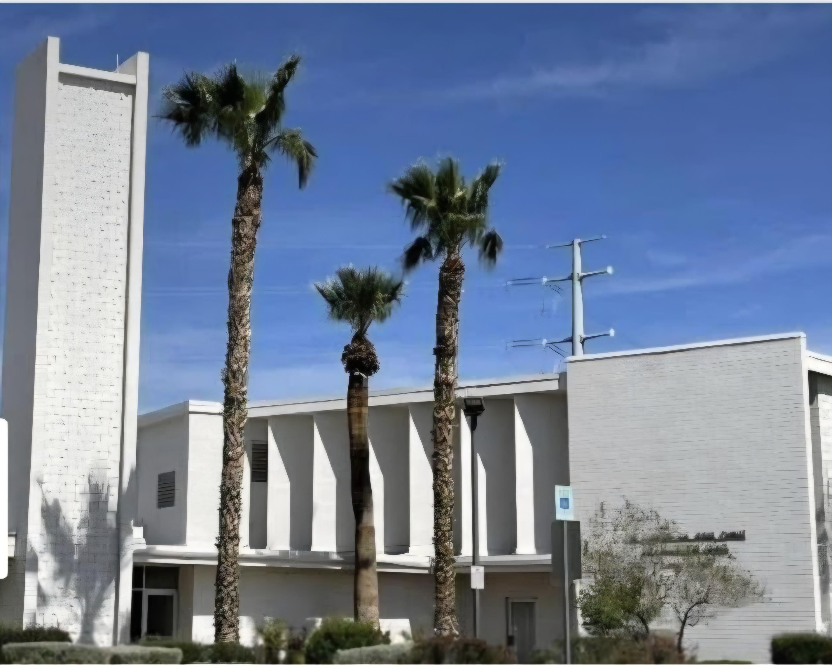The Church of Jesus Christ of Latter-day Saints Image