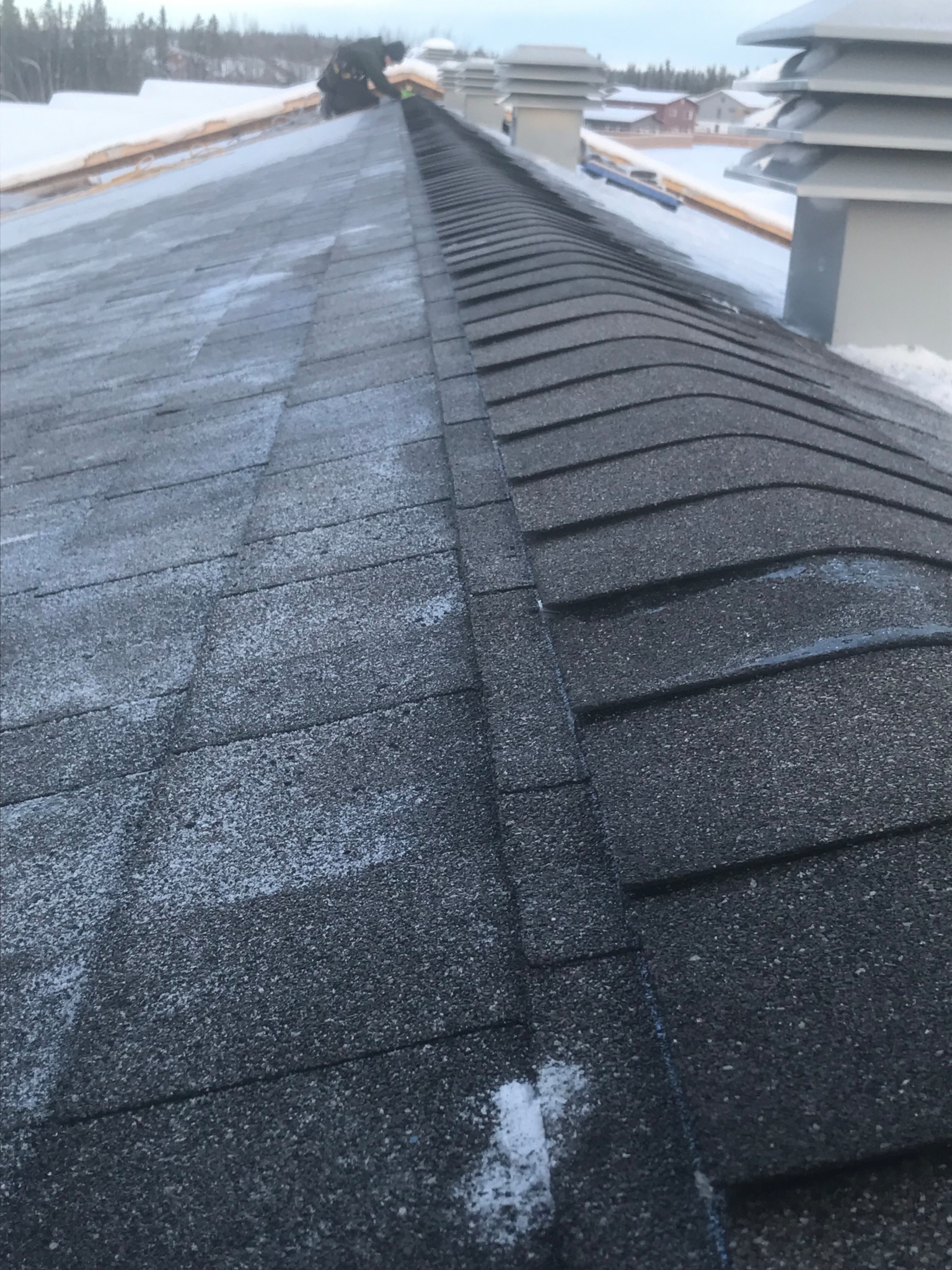 Images The Whitehorse Roofing Company