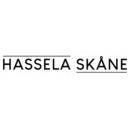 Hassela Skåne AB (Mentorskap)