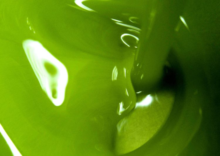 Images Zeus Società Cooperativa