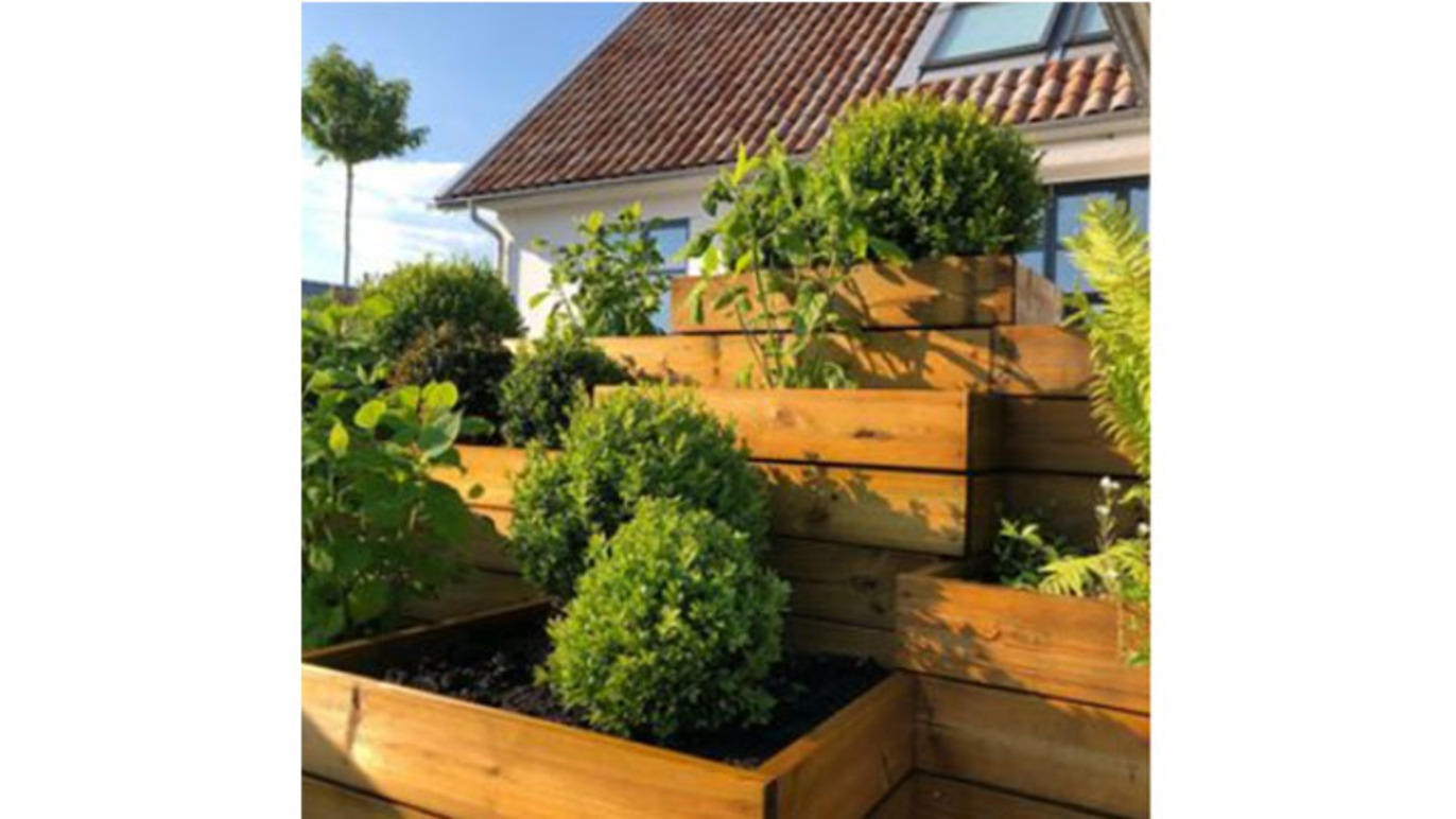 Images Drömträdgård Bjäre AB - Reneé Jerleke