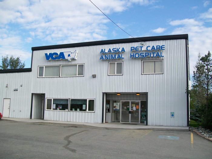 Image 7 | VCA Alaska Pet Care Animal Hospital