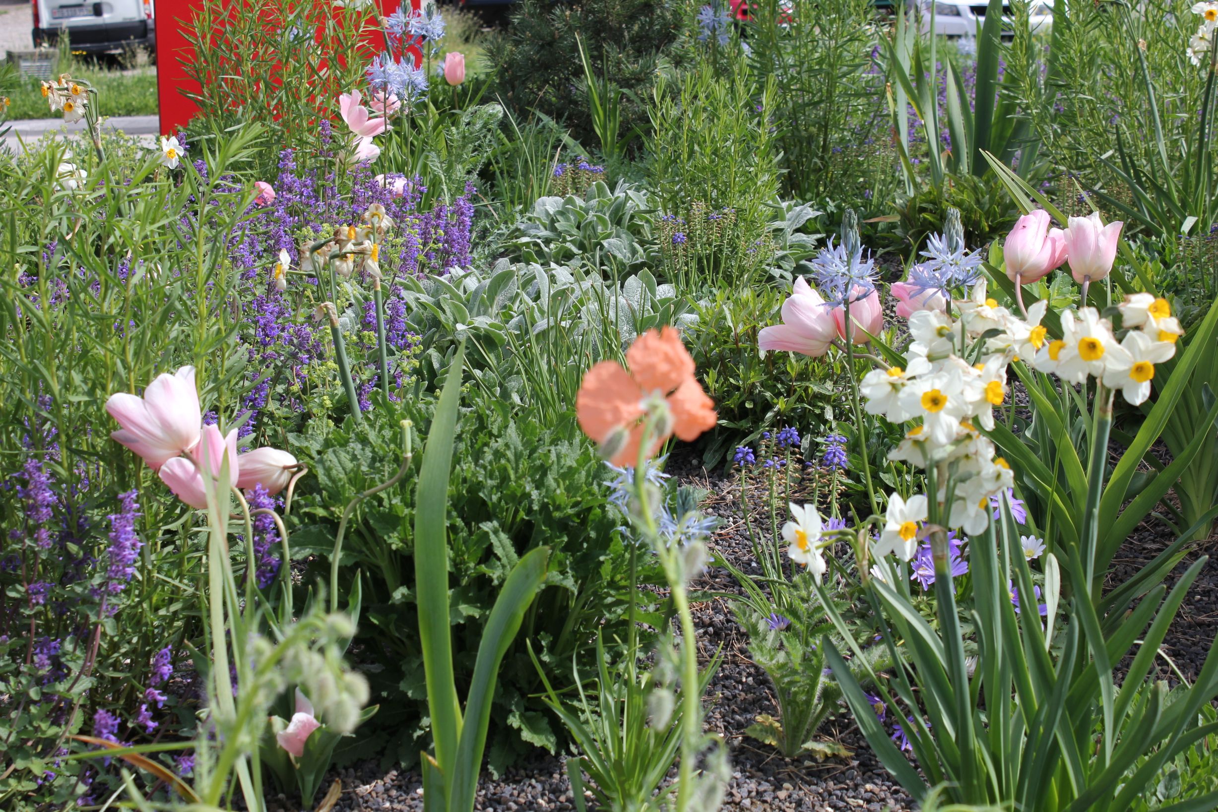 Bilder Artho Gärten AG