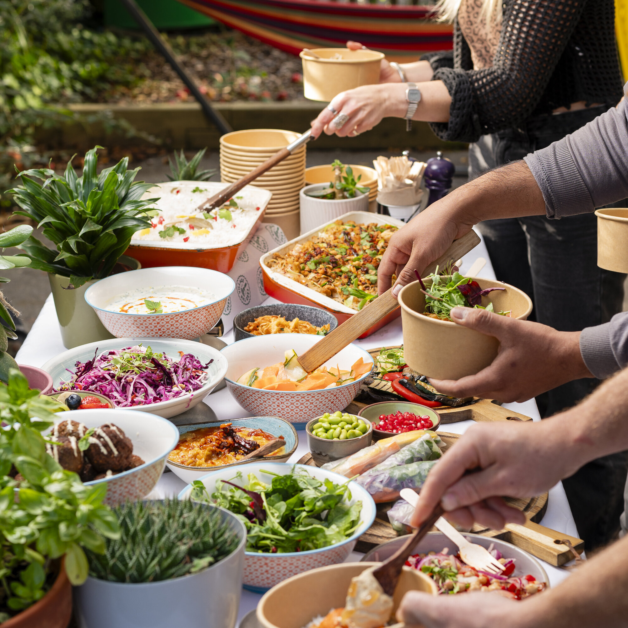 Images Feed the Village