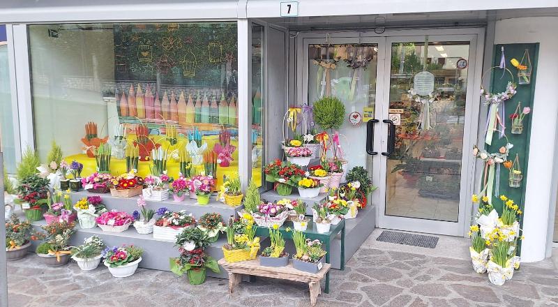 Images Fioreria Tessadri