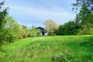 Bilder IMMO AGENCY GmbH