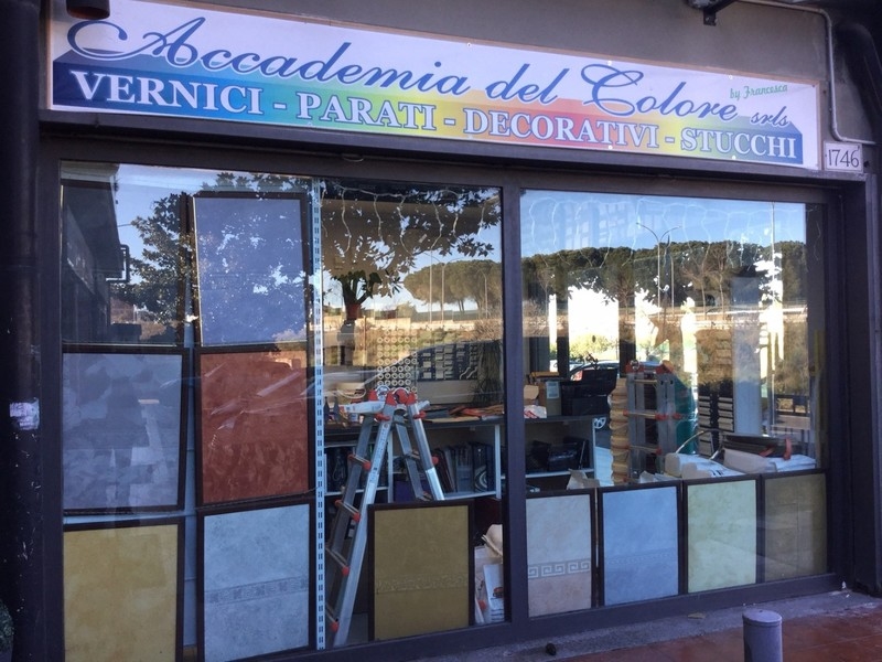 Images Accademia Del Colore
