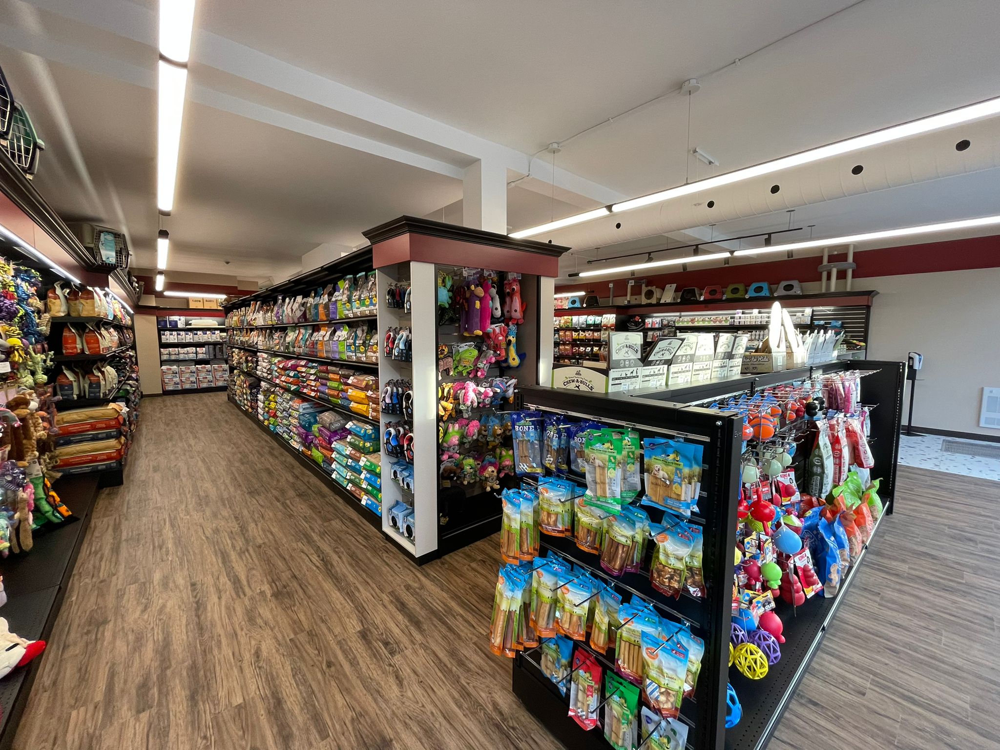 Images Pitou Minou & Compagnons Westmount