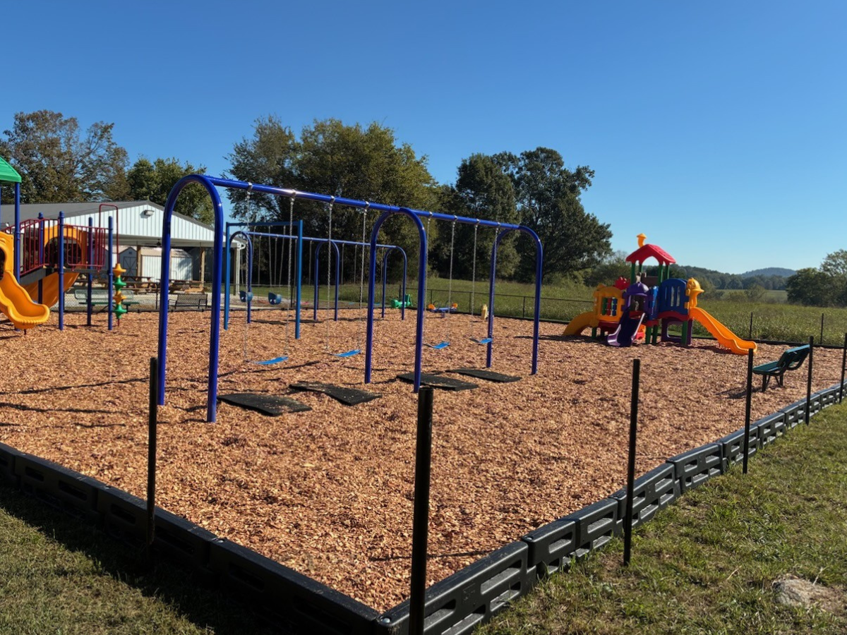 Commercial swing set and modular play structures.