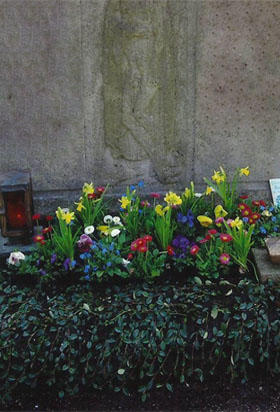 Bild 5 Blumen Rutz in München