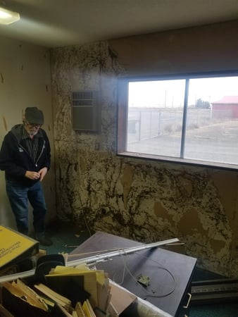 Images Brooks & Hart Pest Control