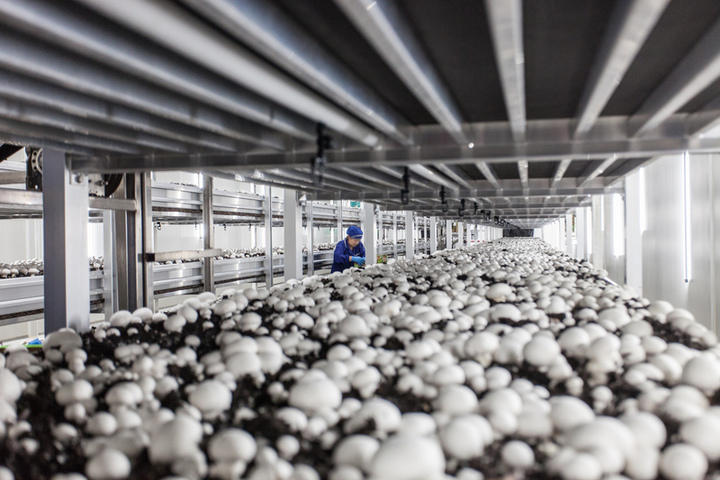 Images Societa' Agricola Porretta - Le Ghiottone