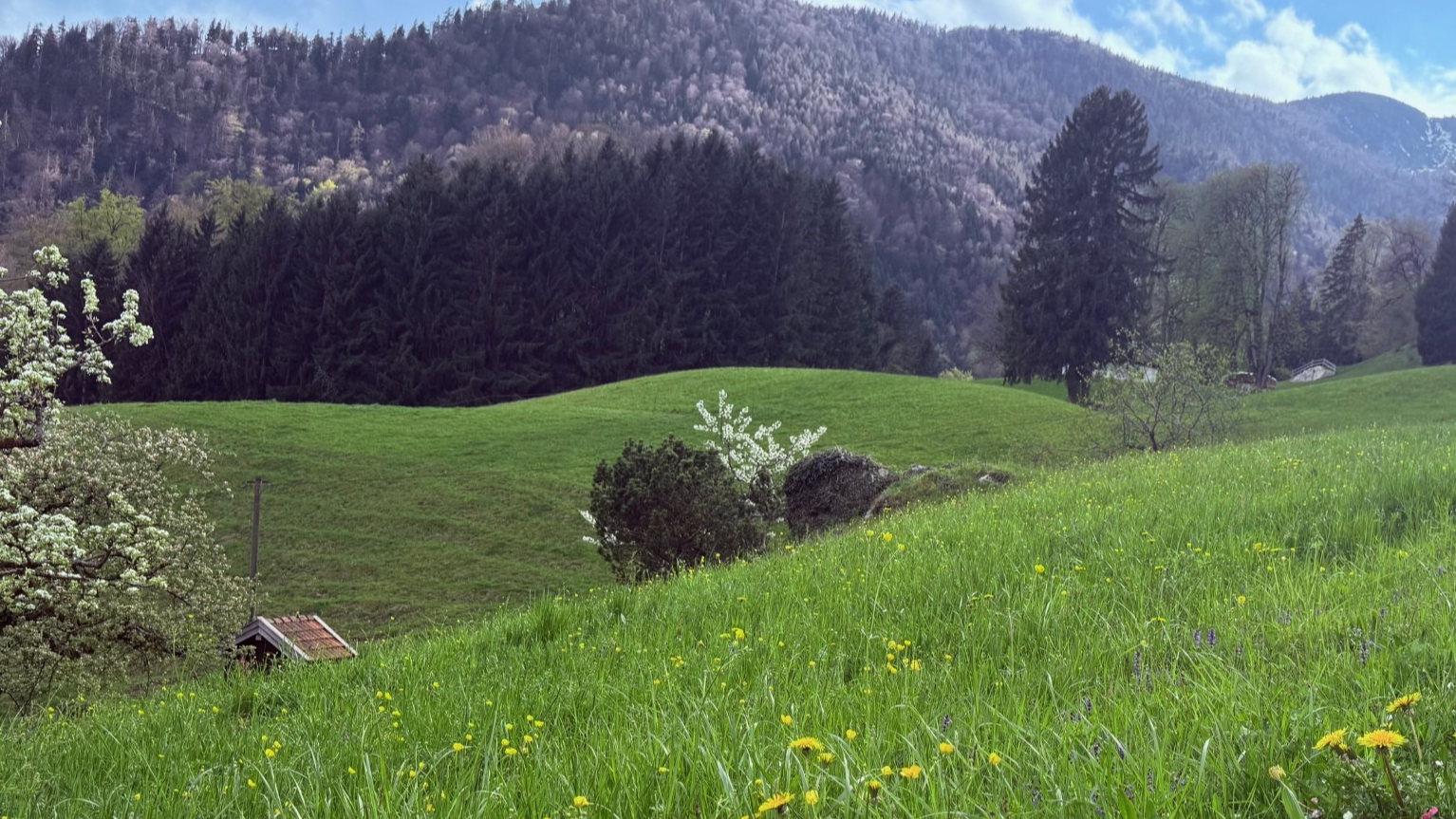 Gut Pfotental Tierfutter in Mettenheim