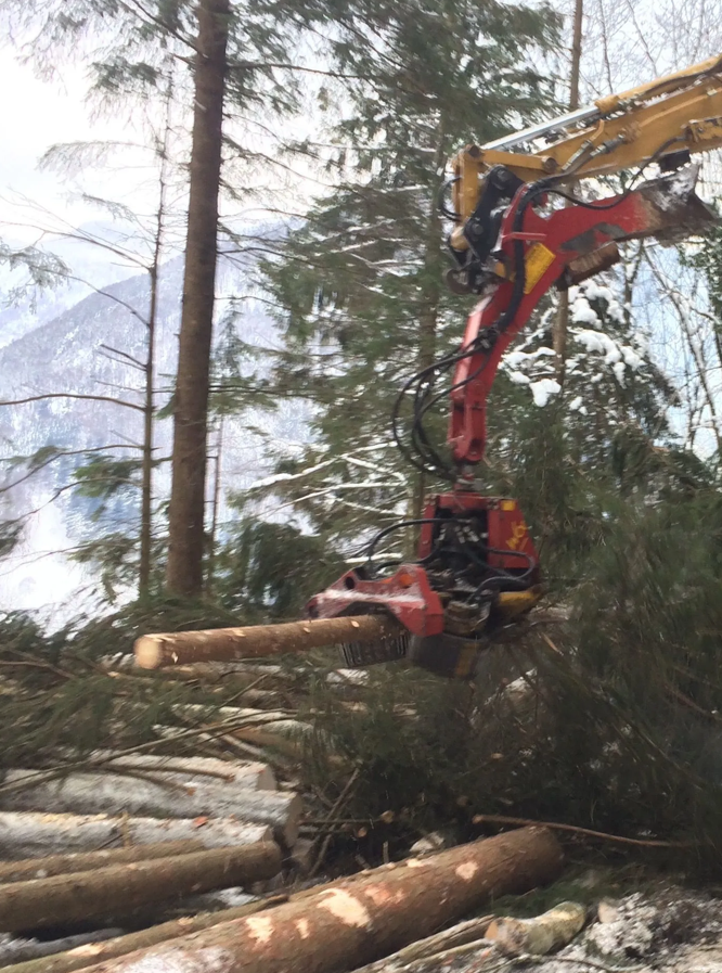 Bilder Urs Amstutz Entreprise Forestière