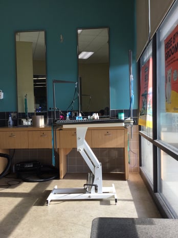 Images Petco Grooming