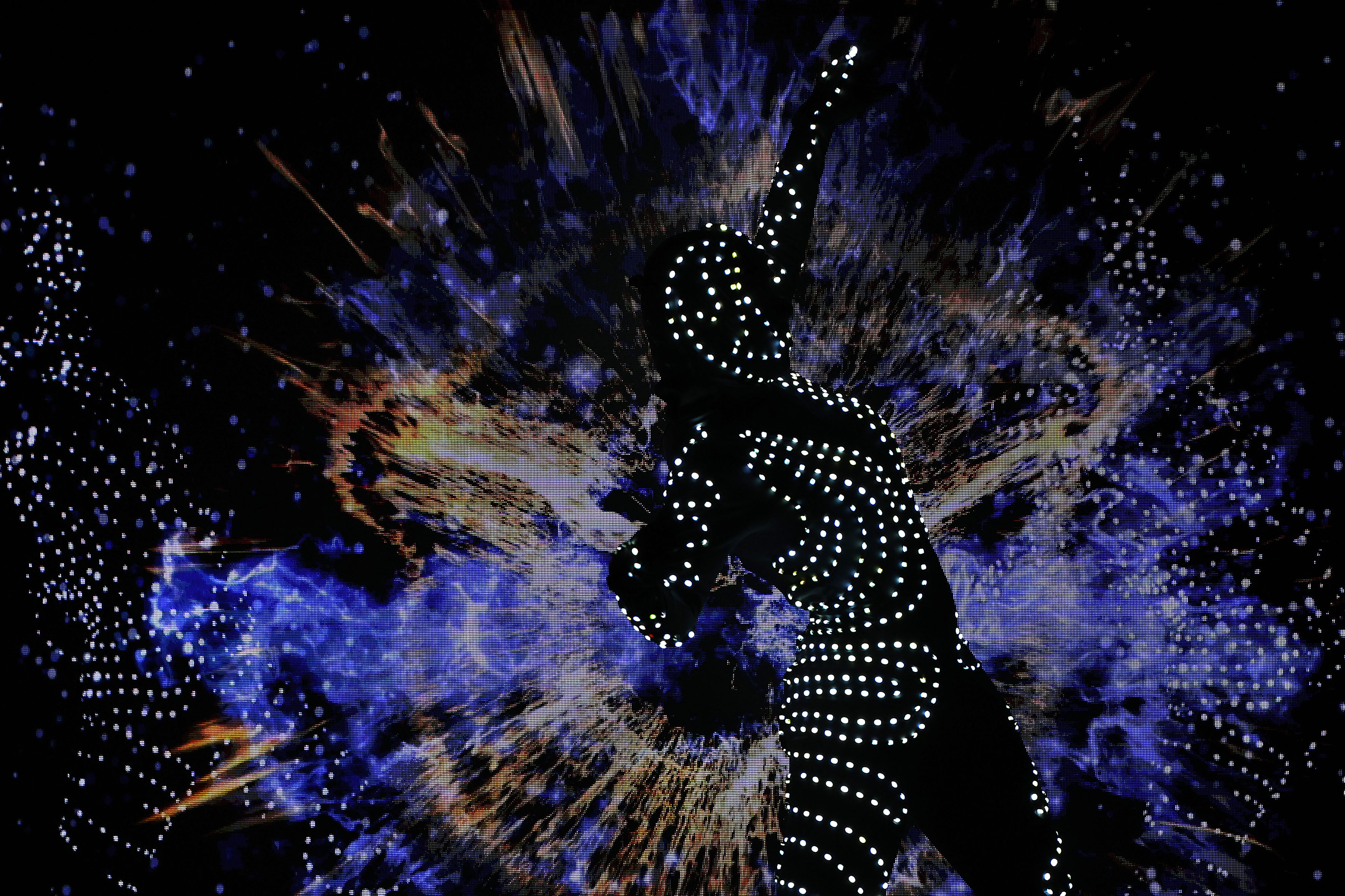 Lars Kaletta Fotografie, Tulpenweg 5 in Hannover