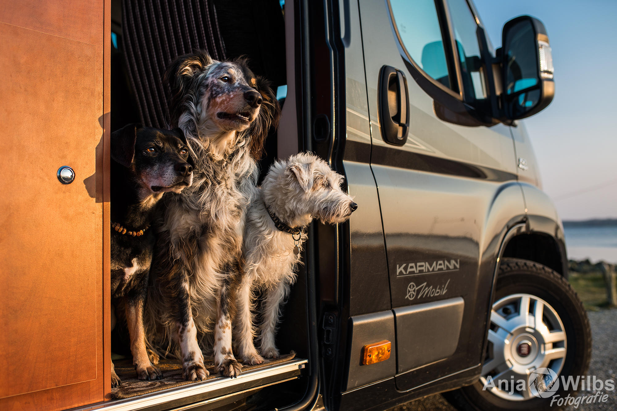 Dog-Camper Wohnmobilvermietung, Wiesenstr. 48 in Niederkrüchten