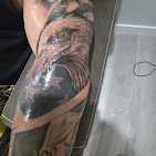 Gallery thumbnail