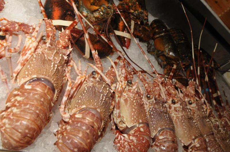 Ristorante da Nano Specialità Pesce