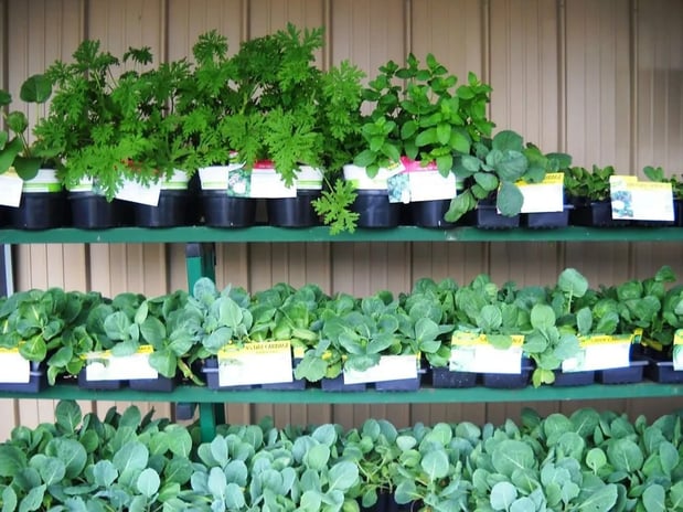 Images Bethel Feed & Supply Pet & Garden Center