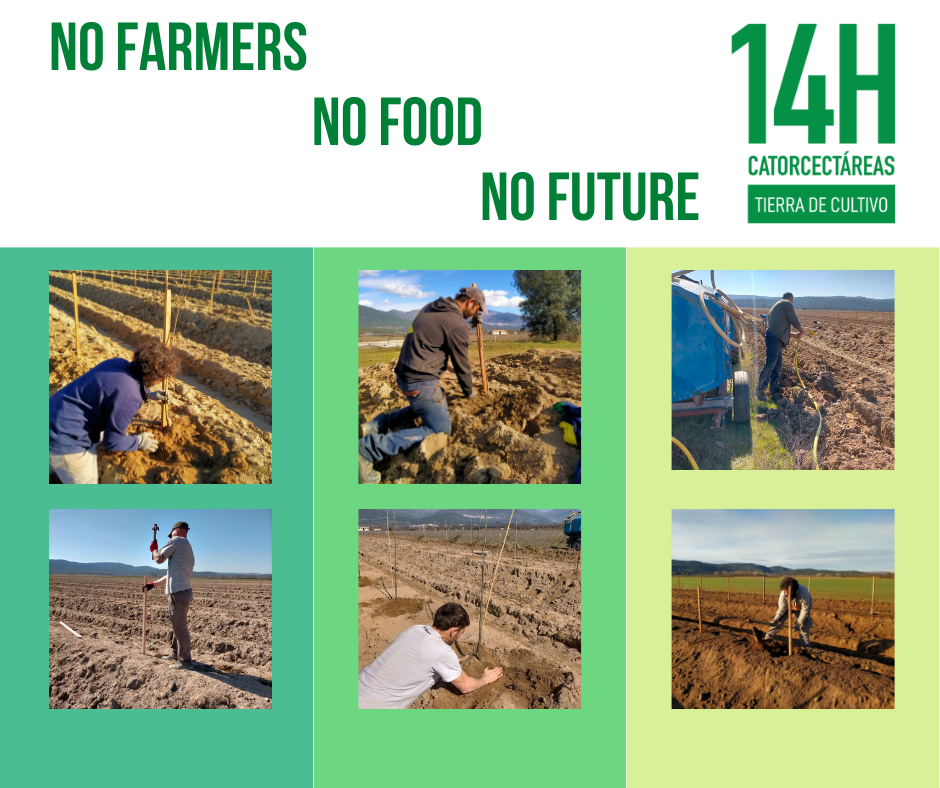 Images Catorcectáreas