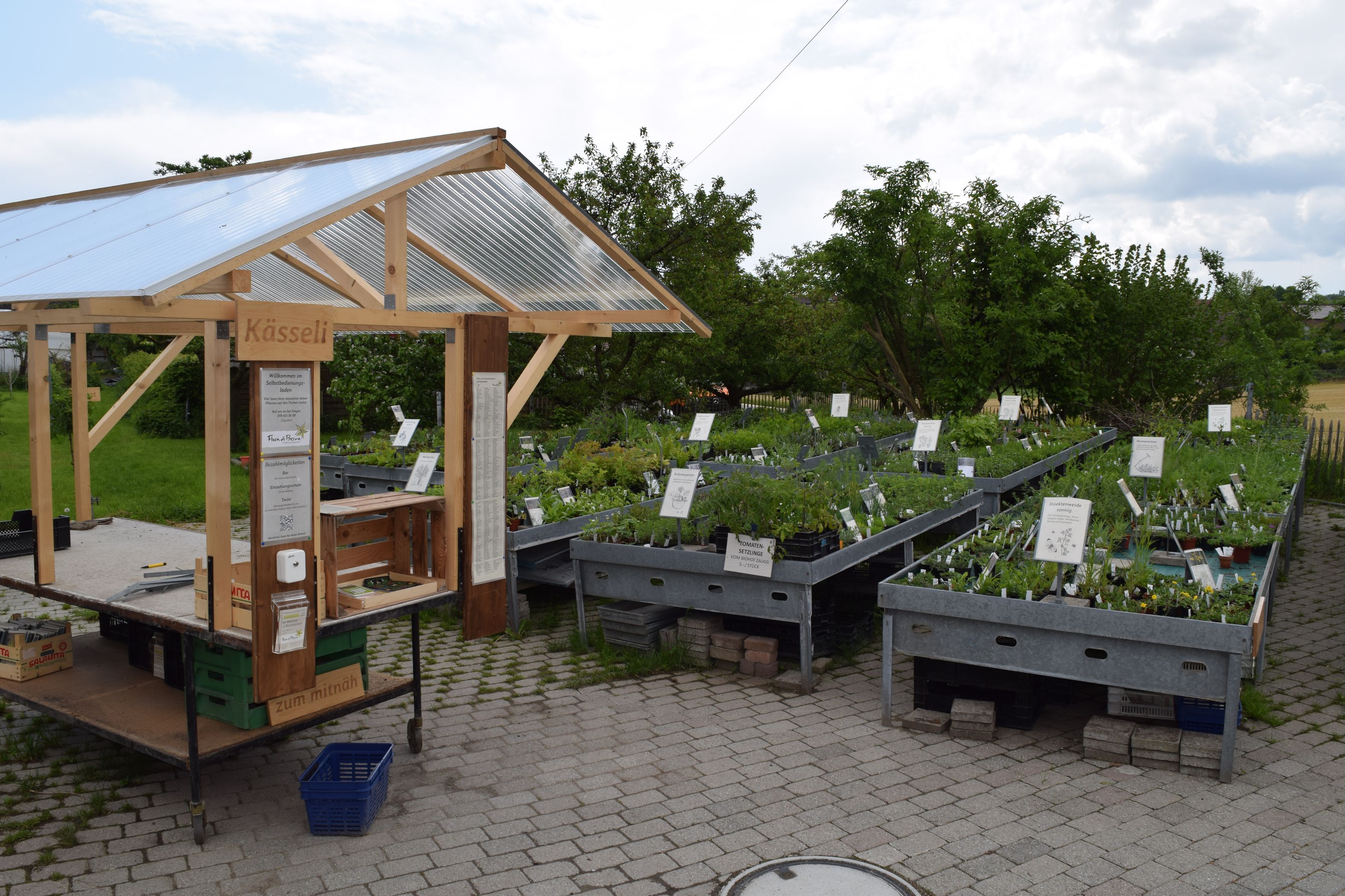 Bilder Wildpflanzengärtnerei Flora di Berna
