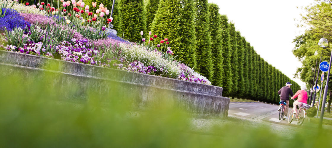 Kurhotel Lichtquelle, Rathausstraße 1 in Bad Füssing