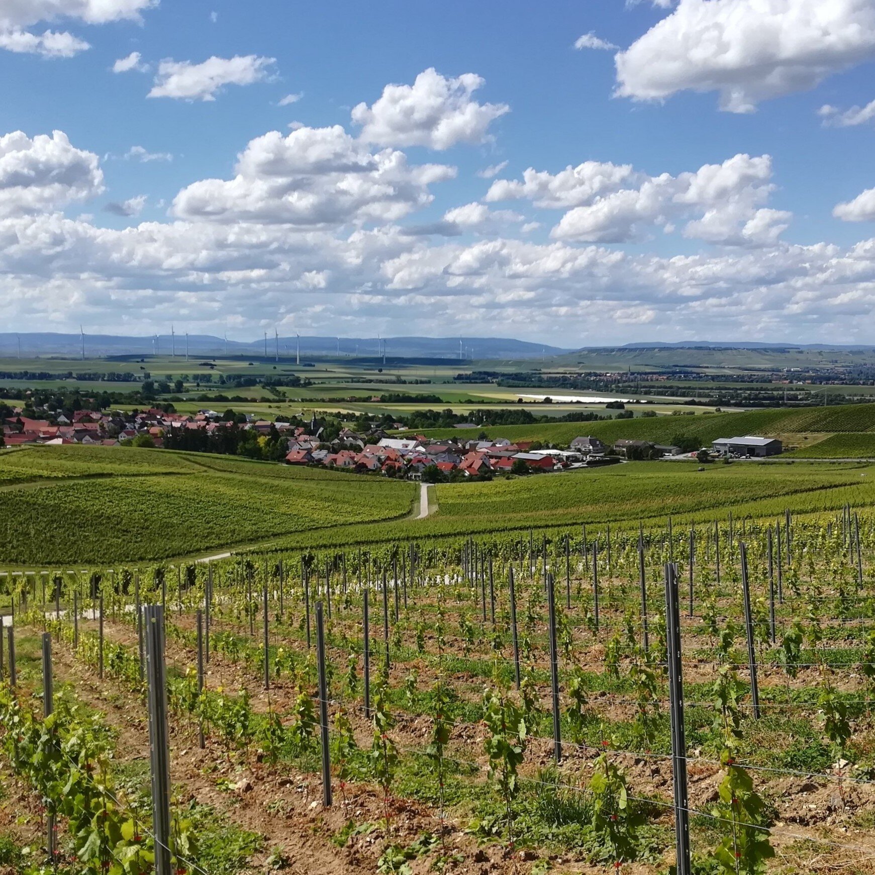 Weinhaus Uhl, Untergasse 2 in Lonsheim