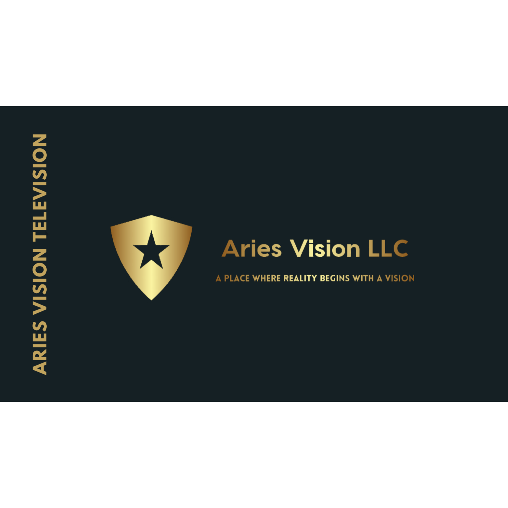 Aries Vision Television Logo