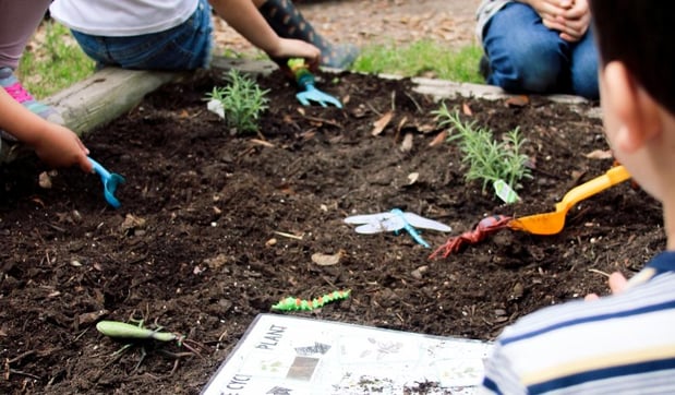Images Country Home Learning Center at Northwest Austin