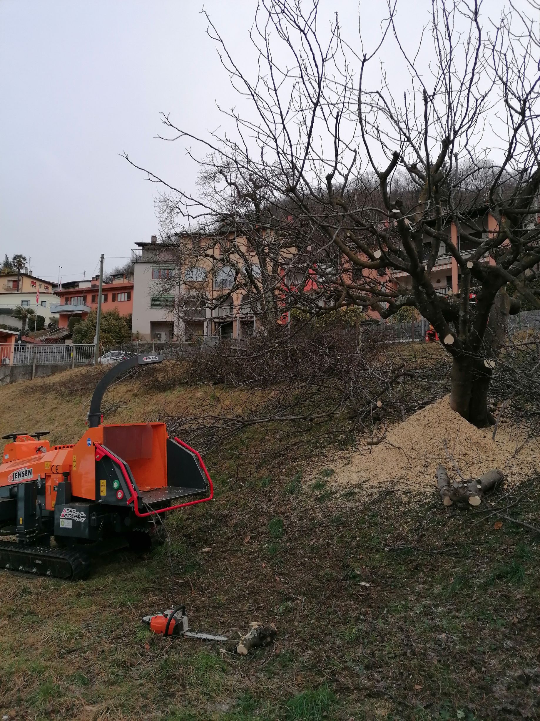 Bilder Nesurini Daniele - Lavori Forestali e Segheria