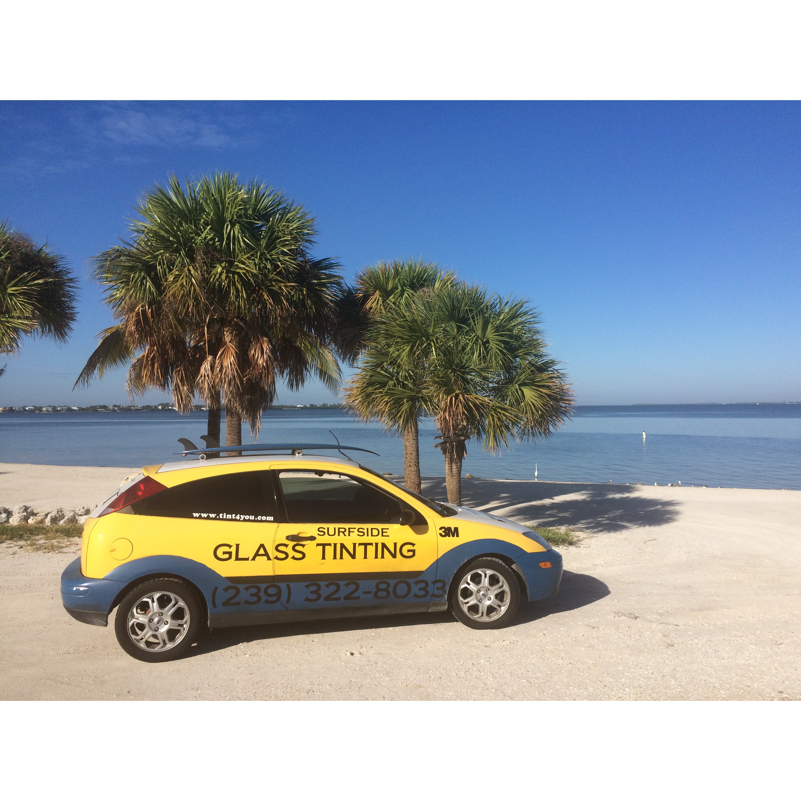 Surfside Window Tinting